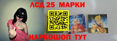 индика Беслан
