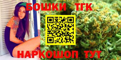 индика Беслан