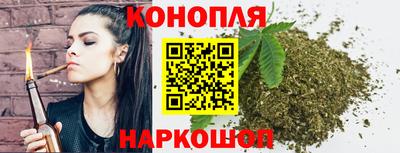 индика Беслан
