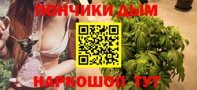 индика Беслан