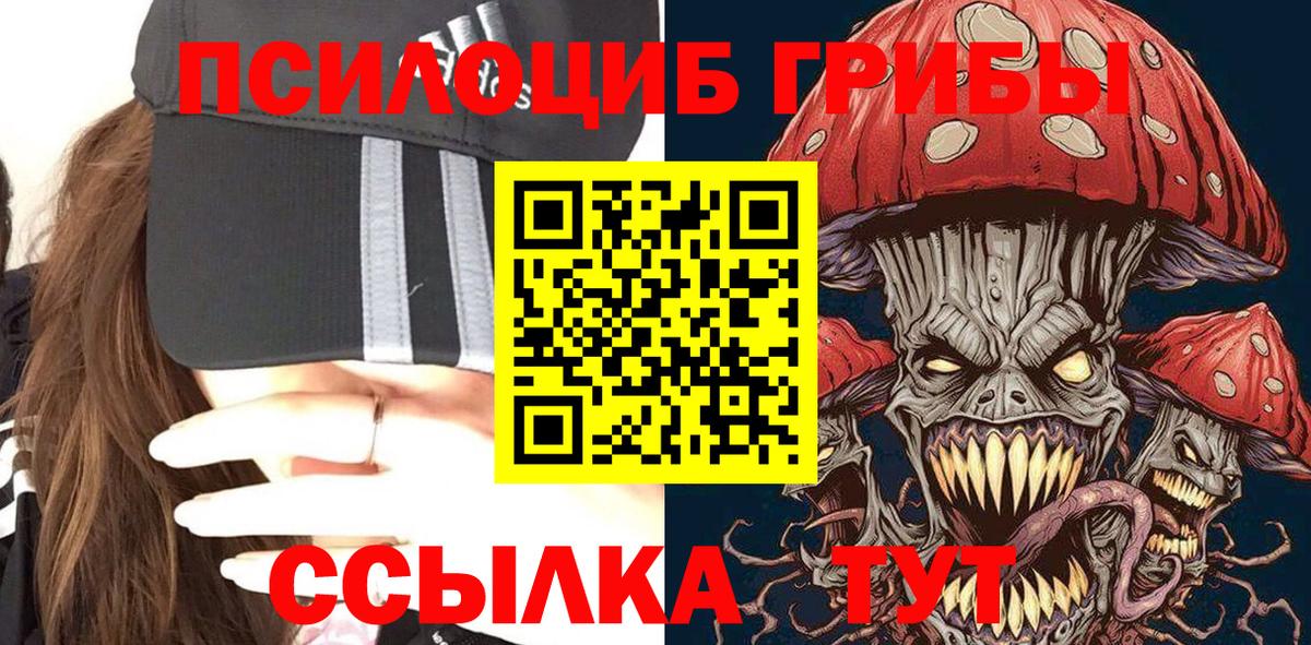Псилоцибиновые грибы ЛСД  Вход с VPN  Клинцы  Псилоцибиновые грибы Psilocybine cubensis 
